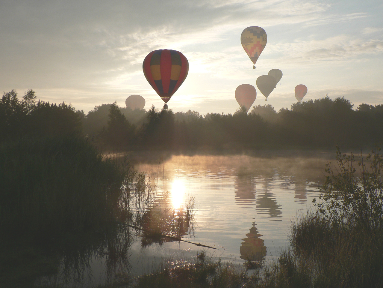 Announcement of approved projects