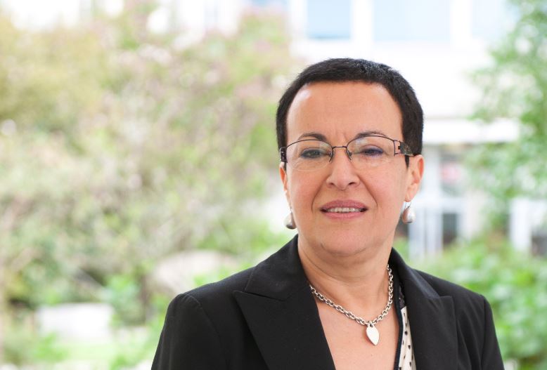 Nantes UIA project 5 bridges