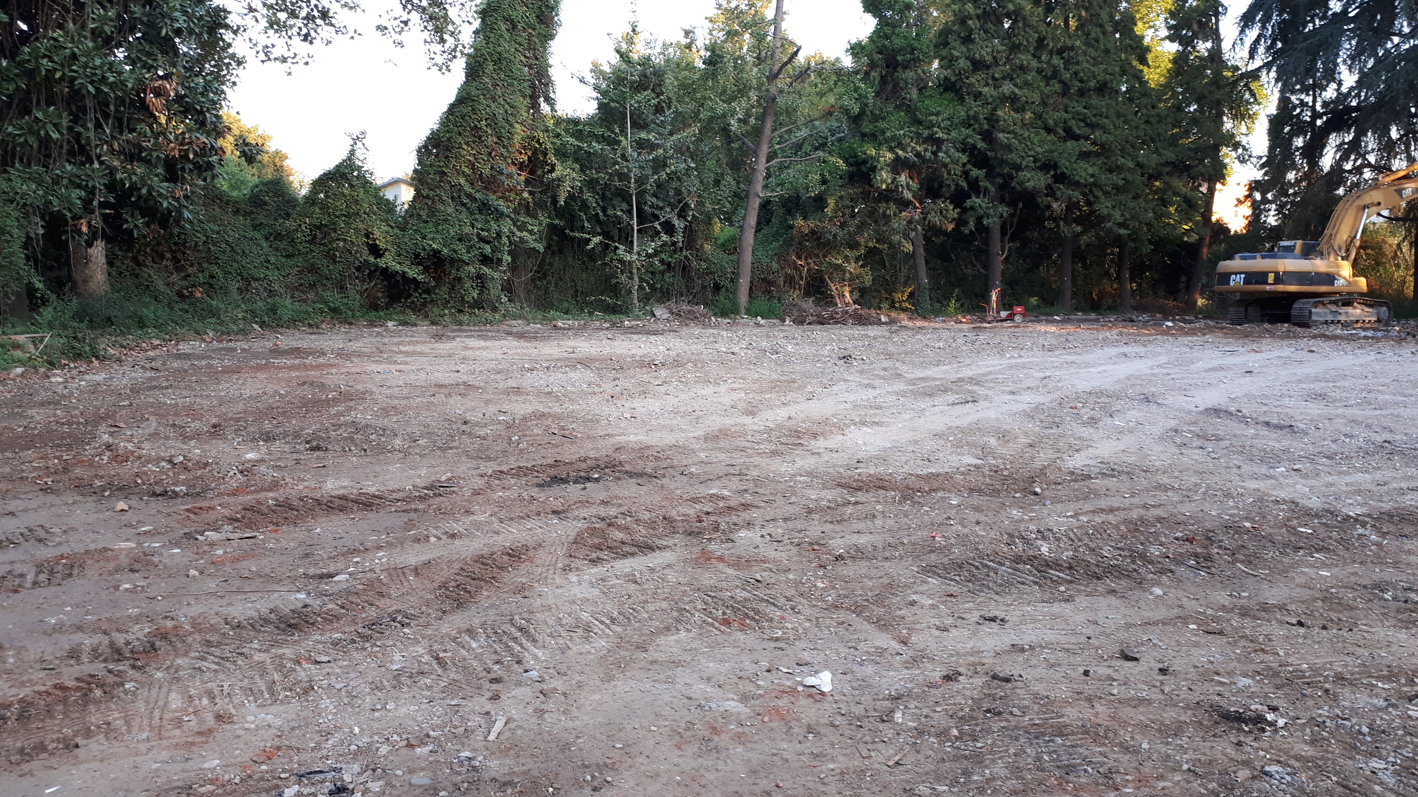 SALUS SPACE clearing