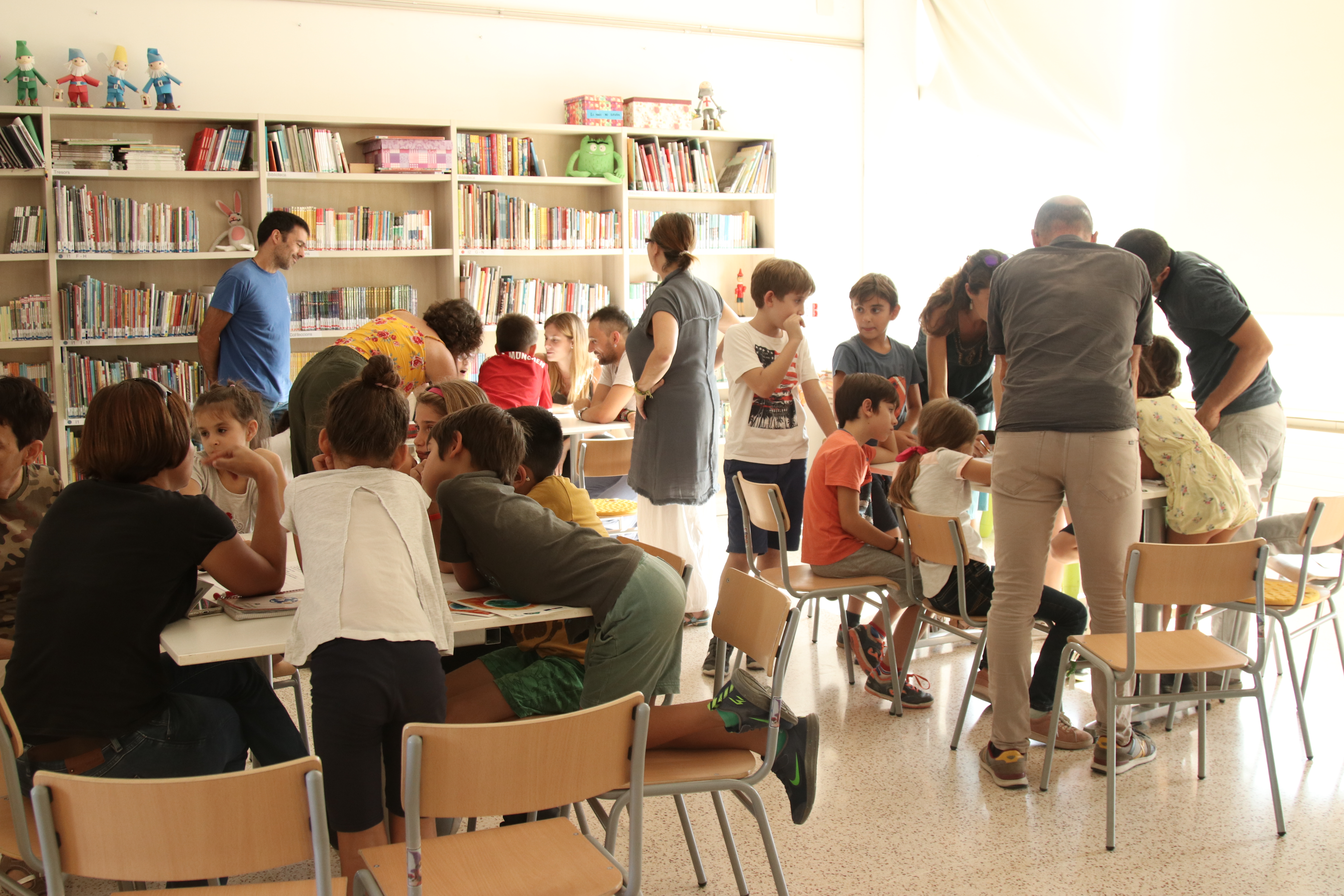 Participative processes 