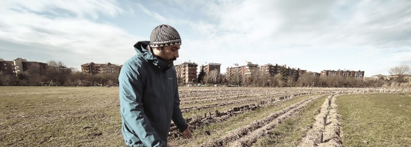 Peri-urban agriculture