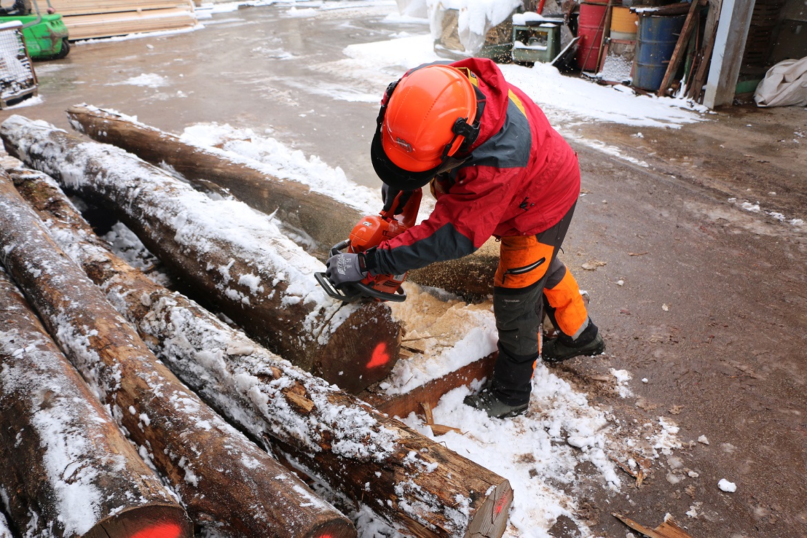 Figure 2 Taking samples from the log.JPG