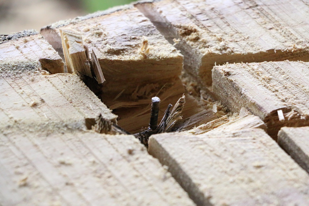 Figure 4 unpleasant surprises.JPG