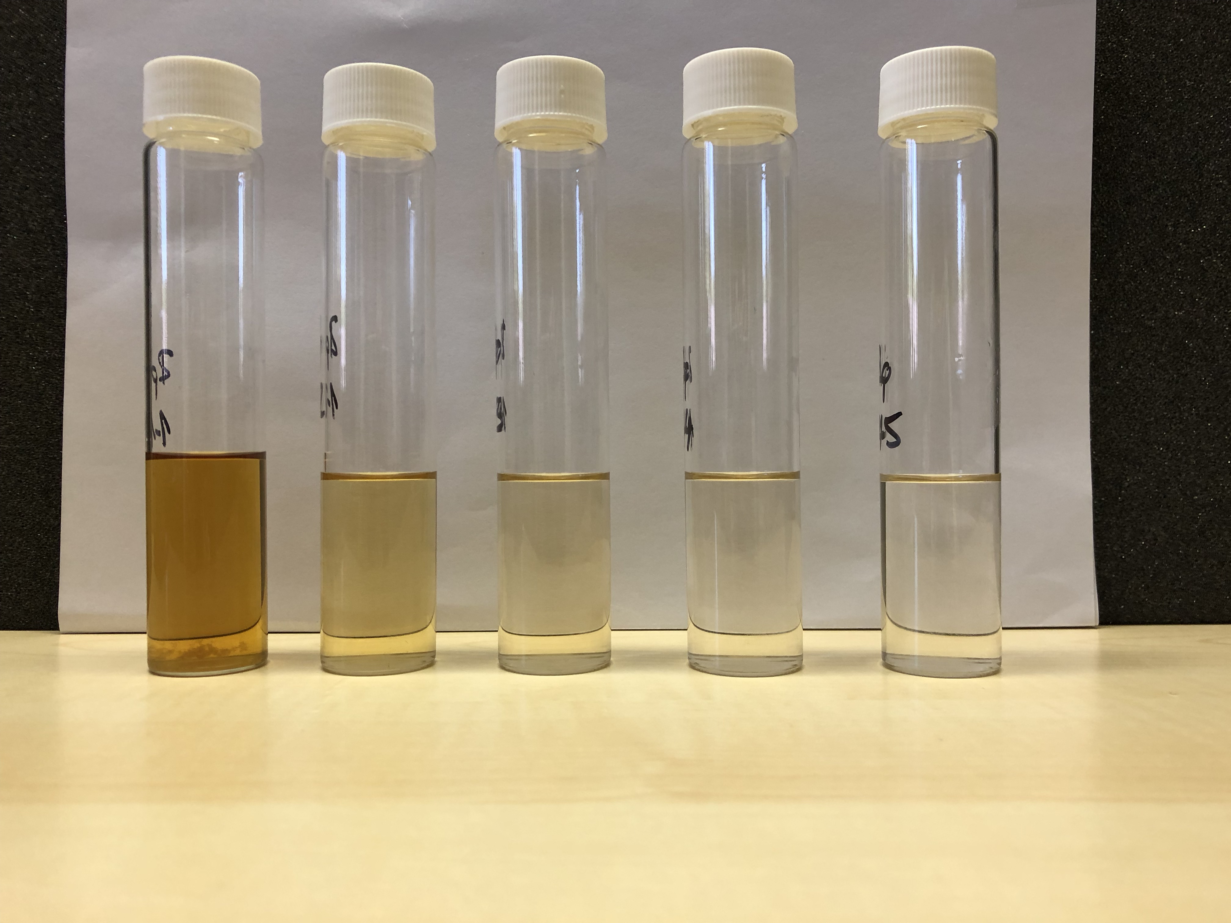 Photo 5_extracts.jpg