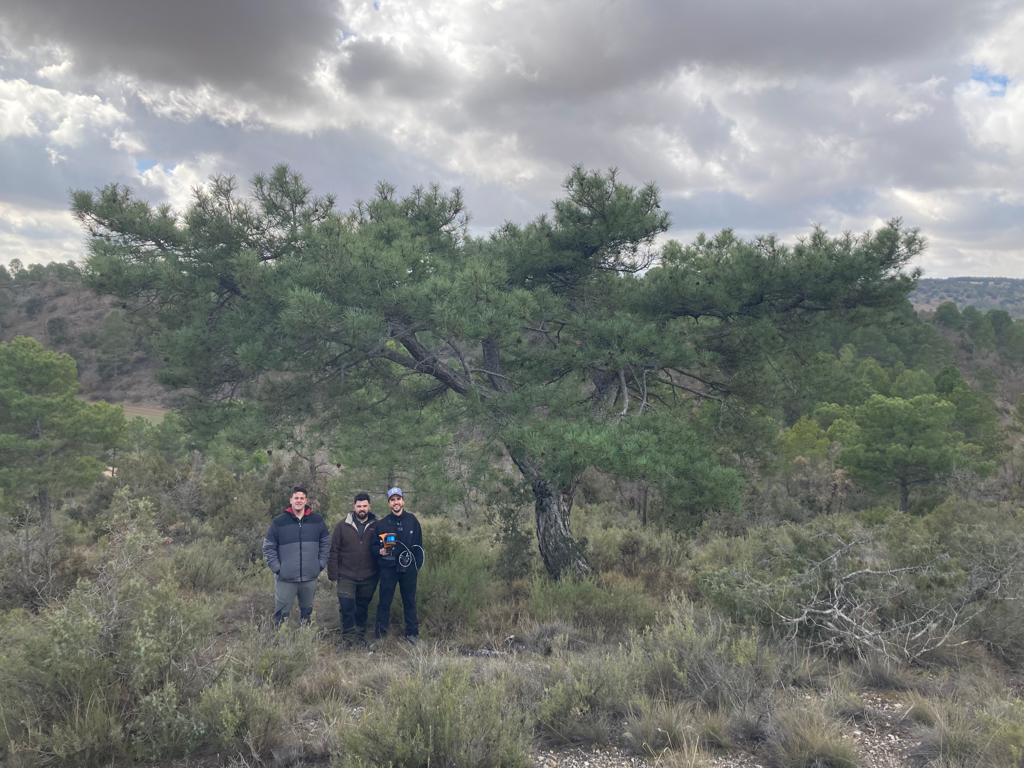 Dendron's team members