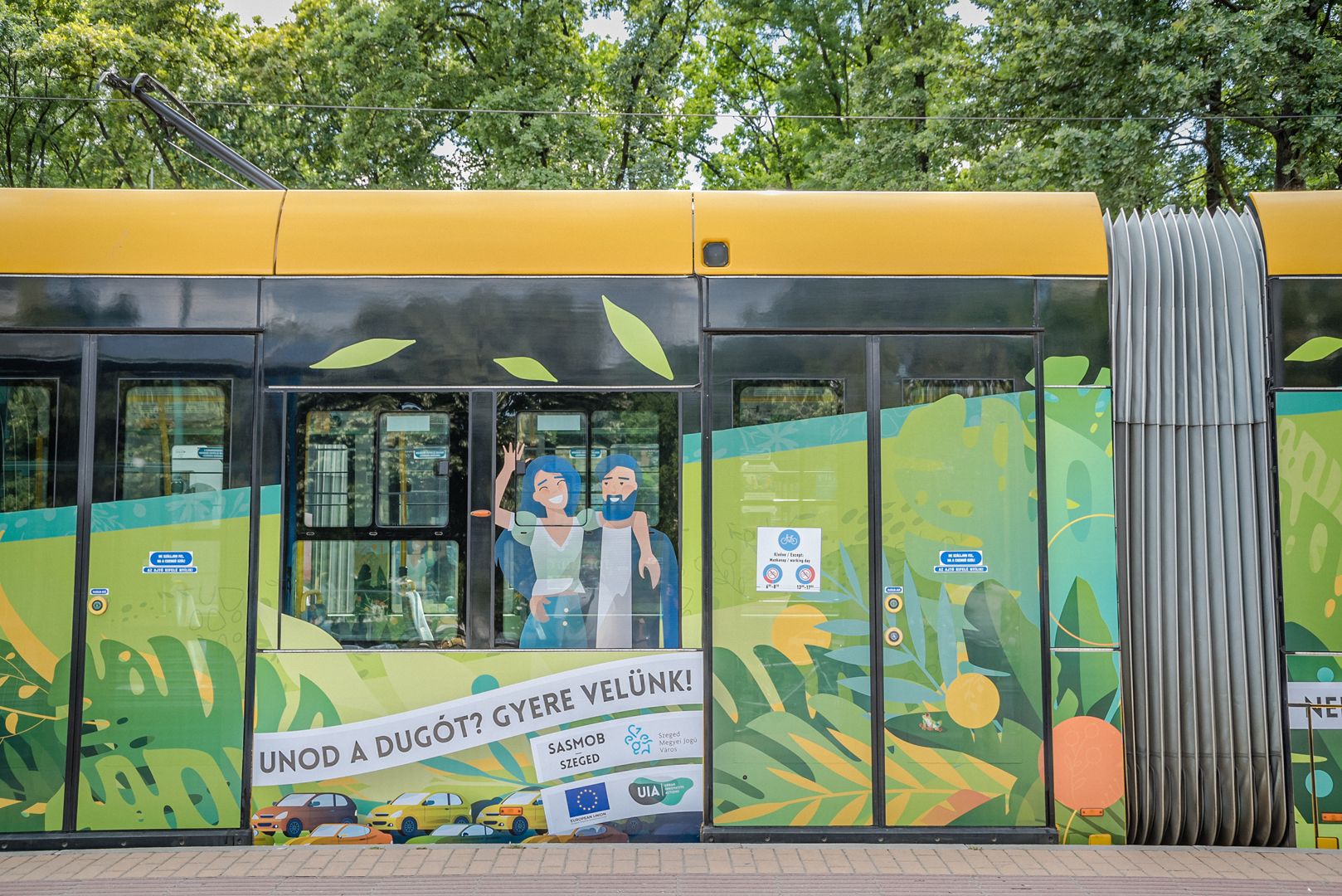 Community transport vehicles