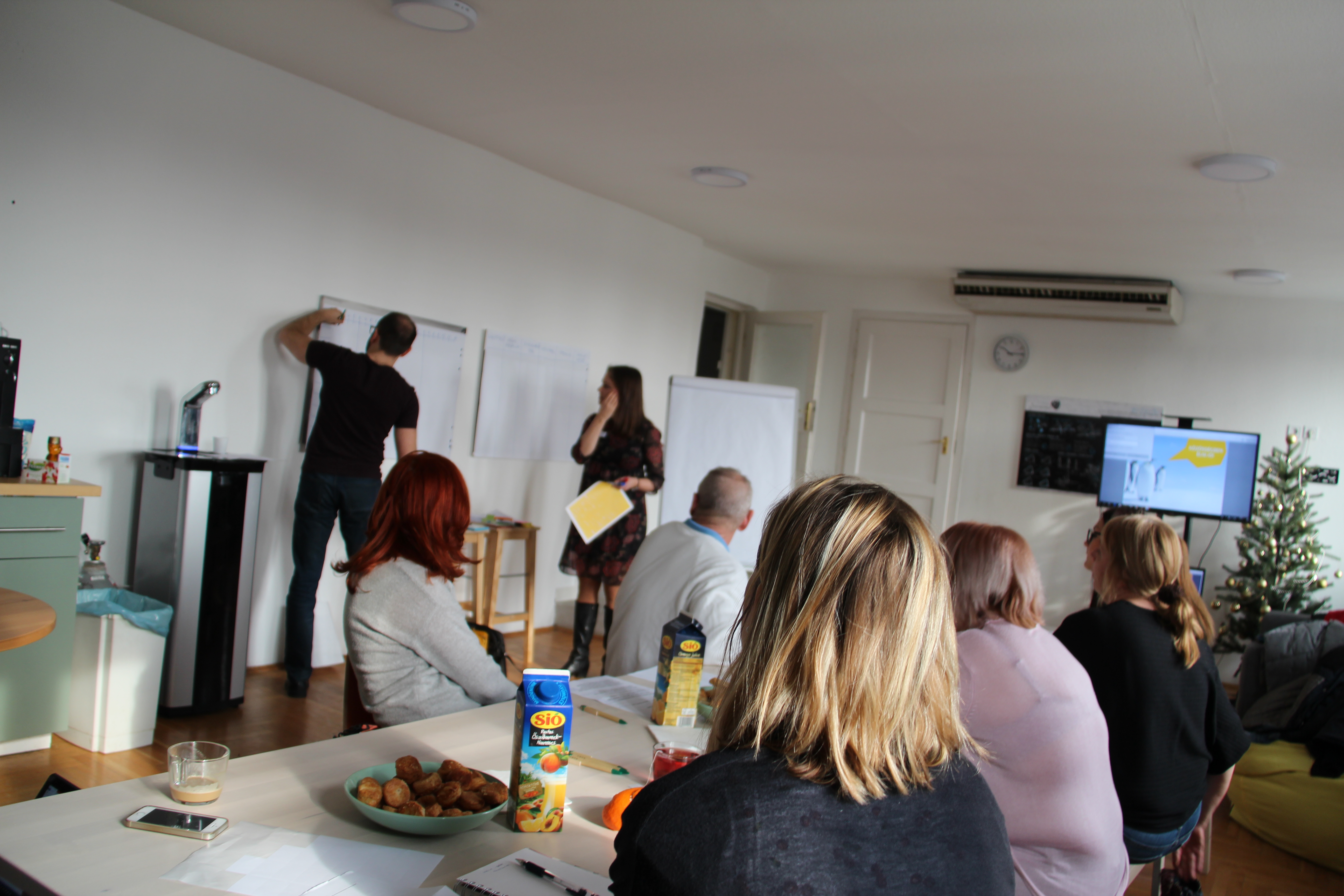 The 'soft' elements of the E-Co-Housing project