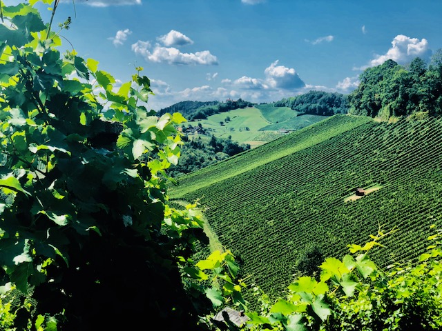 Maribor InnoRural's online marketplace