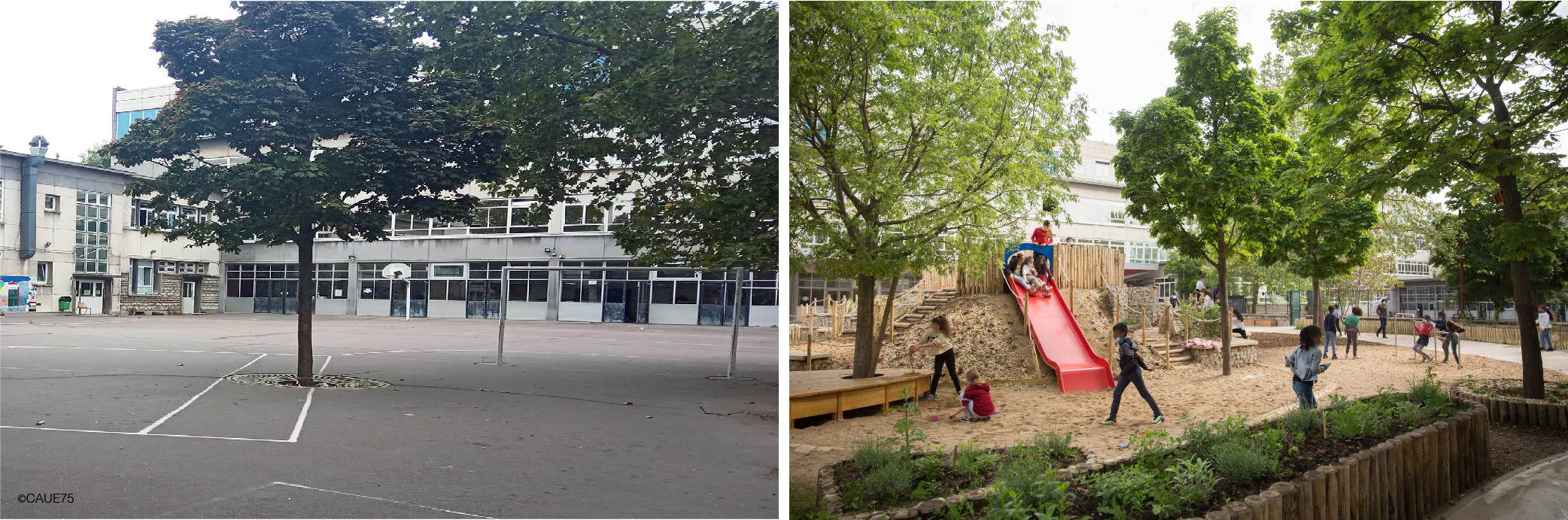 Schoolyard before and after transformation