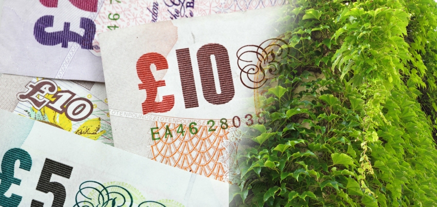 generic image with money and vegetation