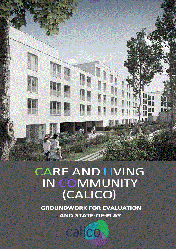 CALICO’s groundwork for evaluation and state-of-play