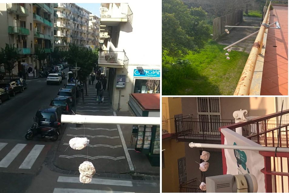 Moss bags across the City of Portici