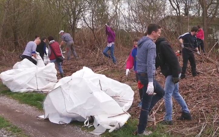 APPLAUSE project video