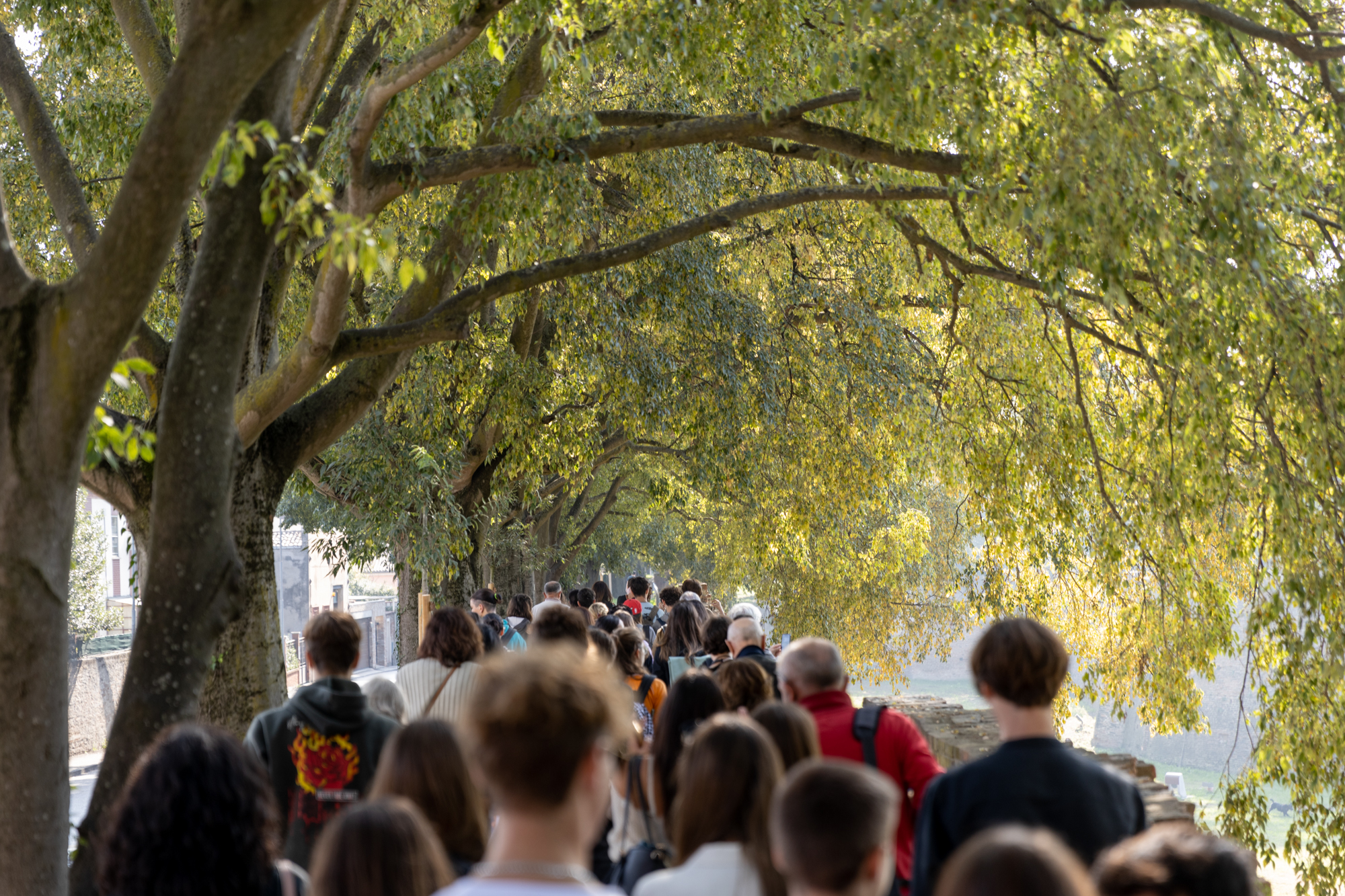 Cover Photo – credit: PLAM creative Studio