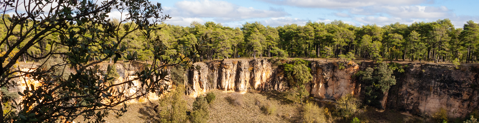 Forests of Cuenca