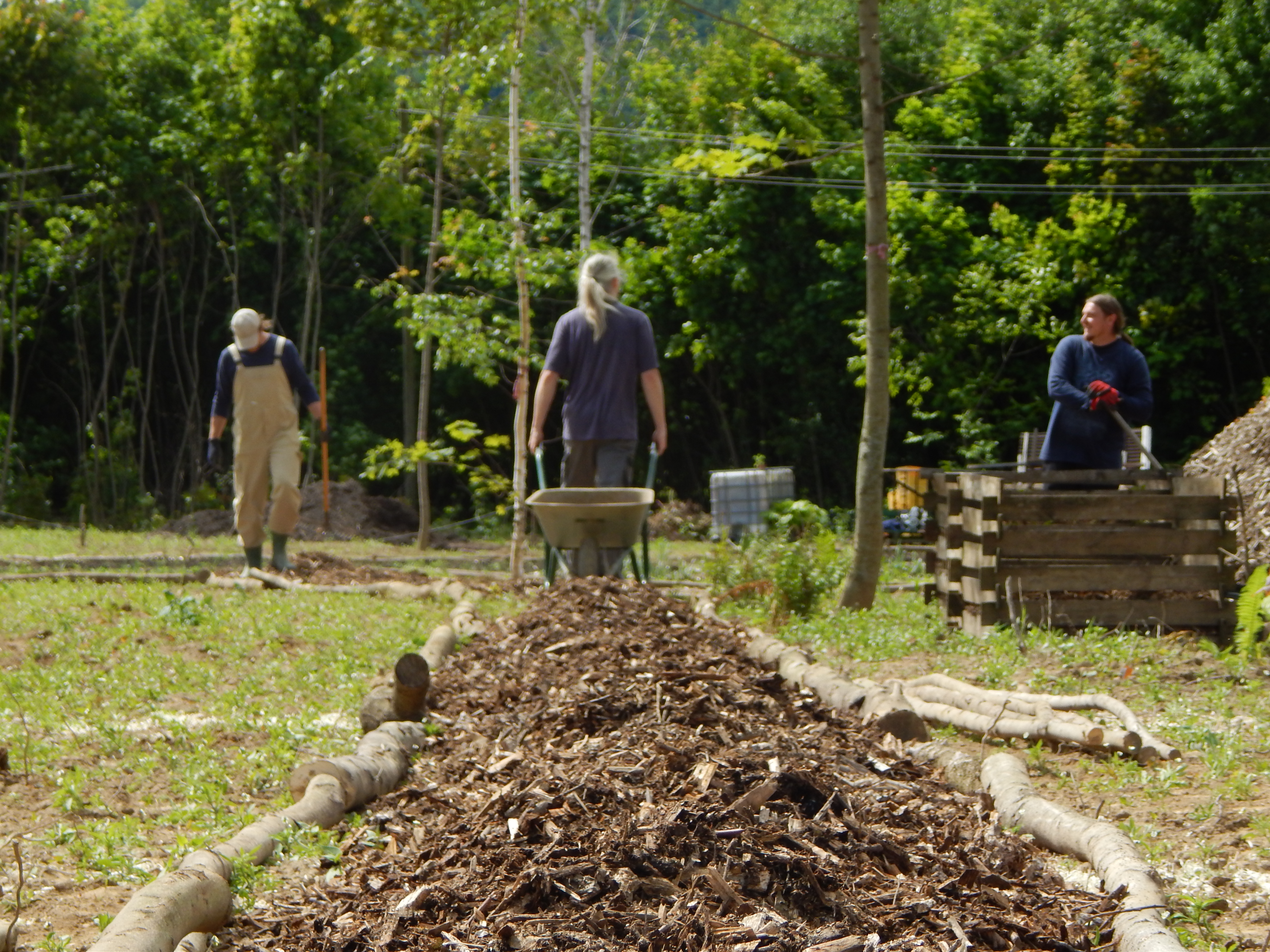 A Circular Europe with EU cities: new EU action plan and UIA bold approaches