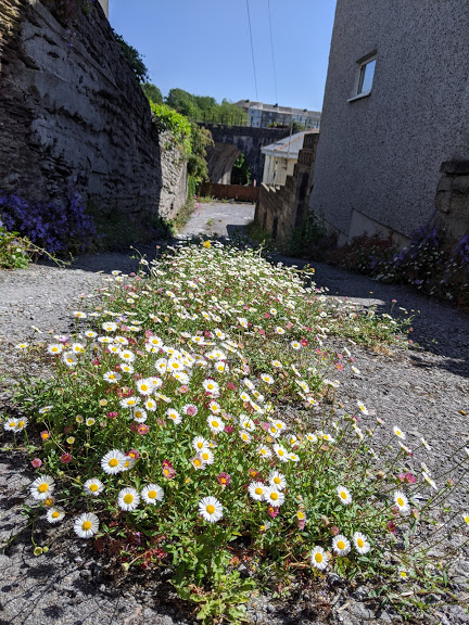 Photo credit: Eva Mcgrath