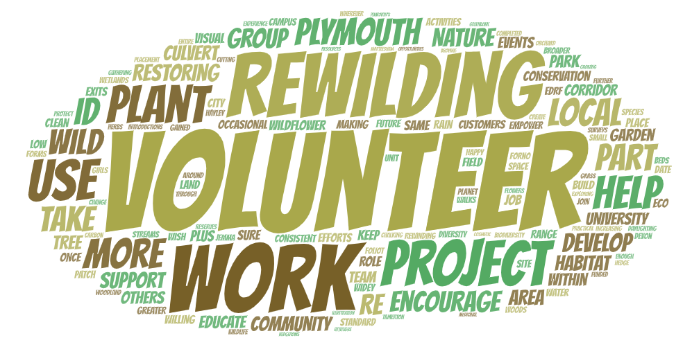 Word cloud: future rewilding ideas
