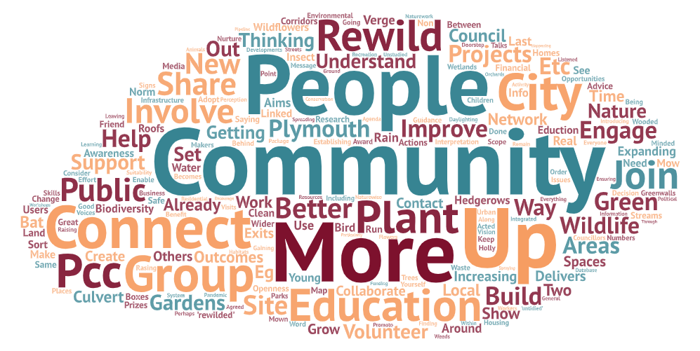 Word cloud: rewilding priorities