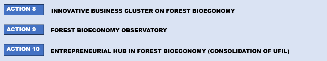 actions in the 3rd area of intervention