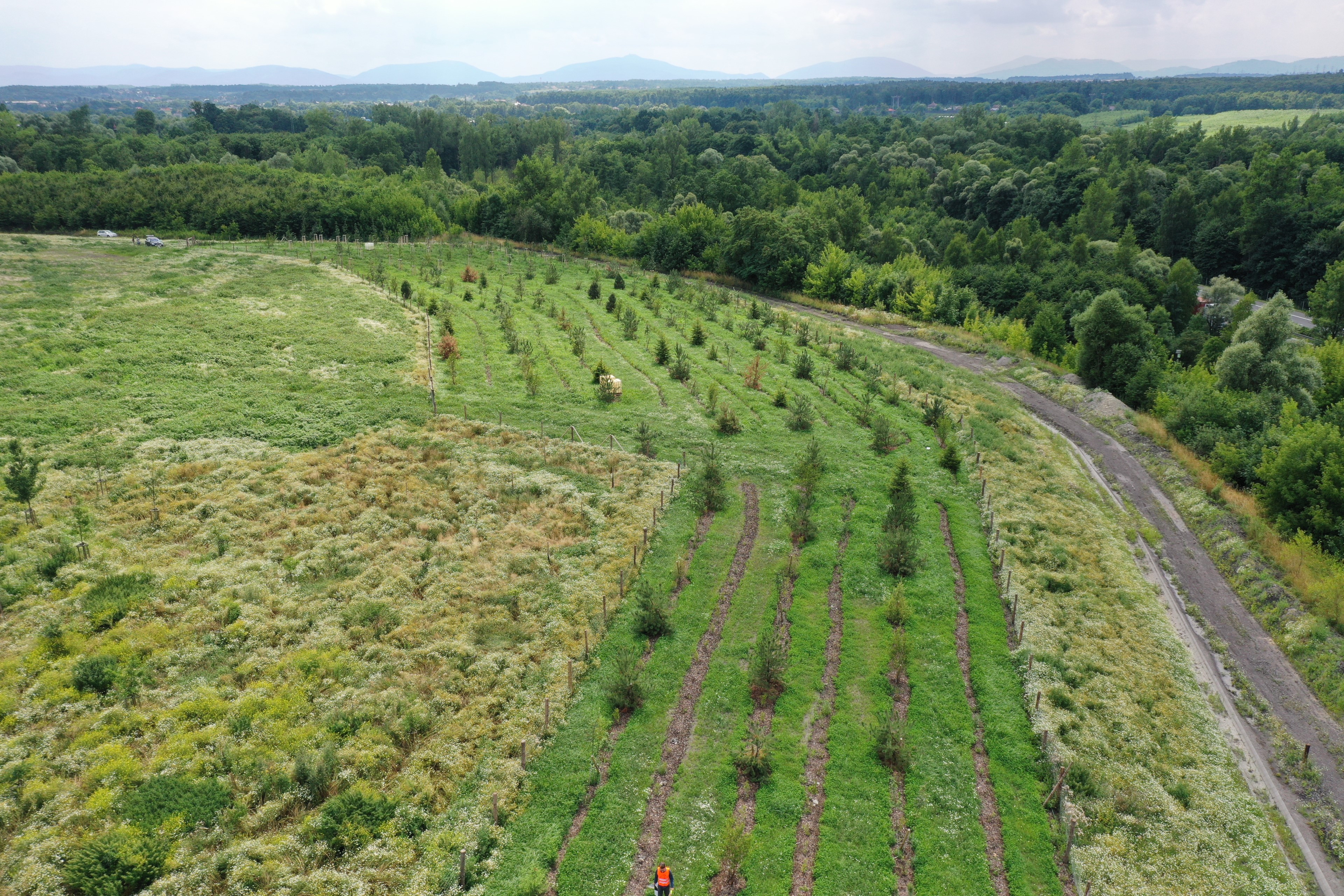 Bartovice target area from drone-view