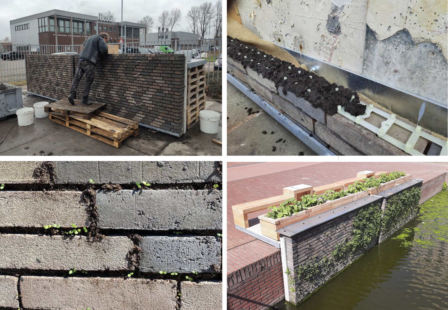 building the drystack walls