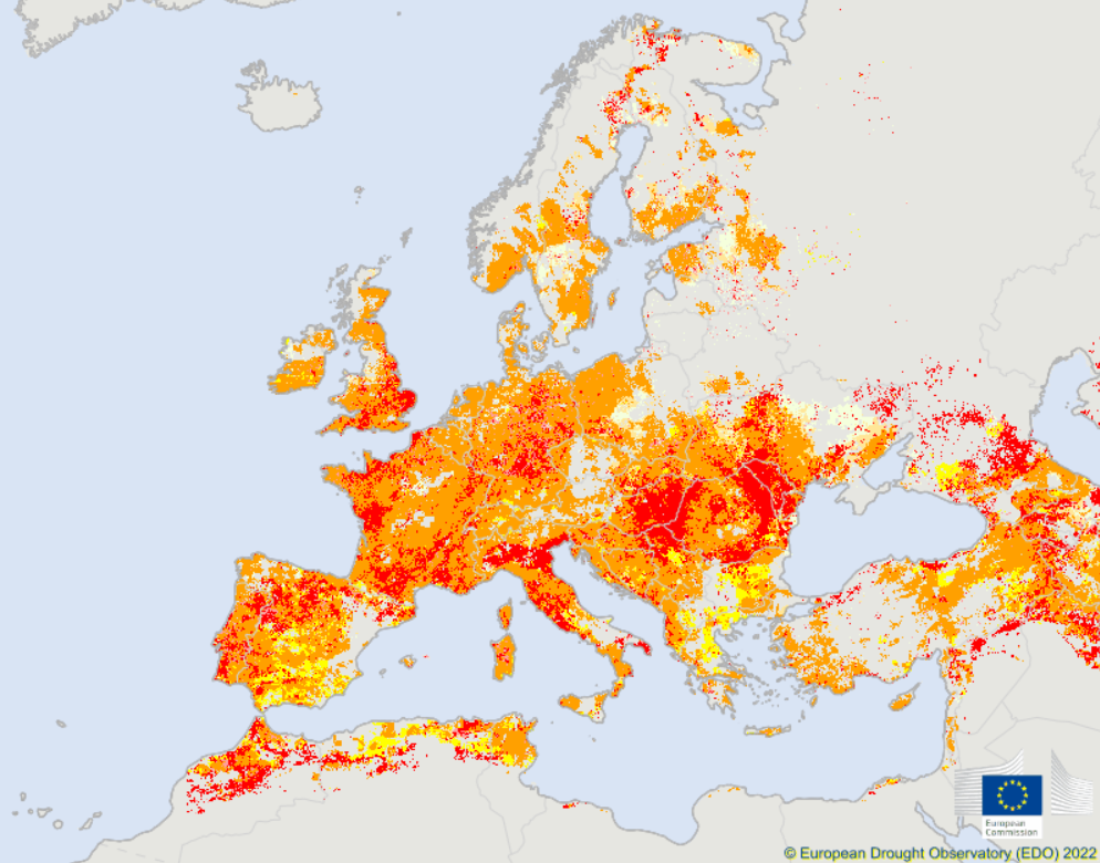 Figure 24 - Drought alerts in Europe as of 21 July 2022. Source: European Drought Observatory - https://edo.jrc.ec.europa.eu/edov2/php/index.php?id=1000#, CC BY-SA 3.0