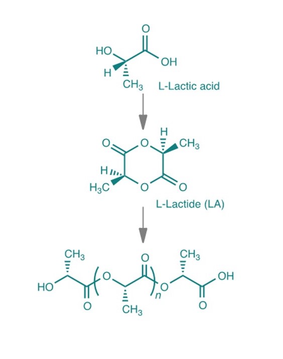 Figure 3: A2UFood Bioplastics production process