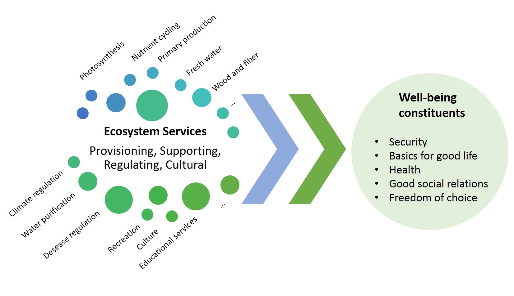 Ecosystem services