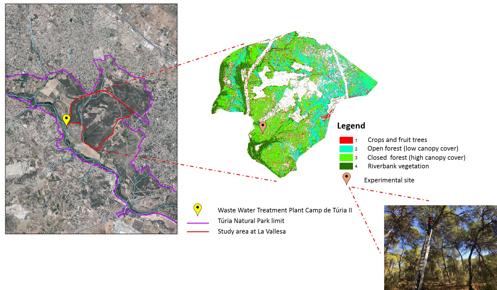 LIDAR data analysis