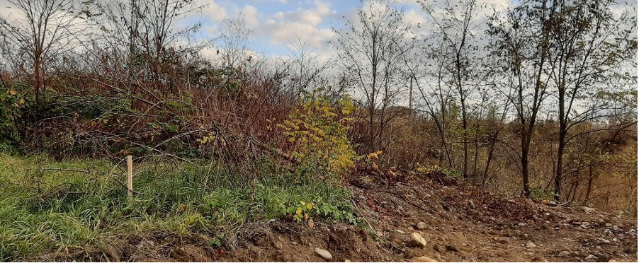 Figure 8. Pilot site 