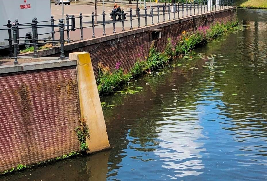 Nature invades the quay walls once maintenance was stopped.
