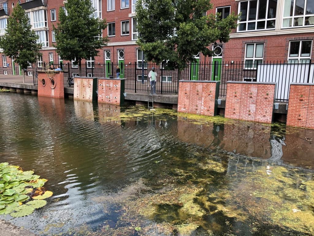 Small-scale test with different wall segments in the quay
