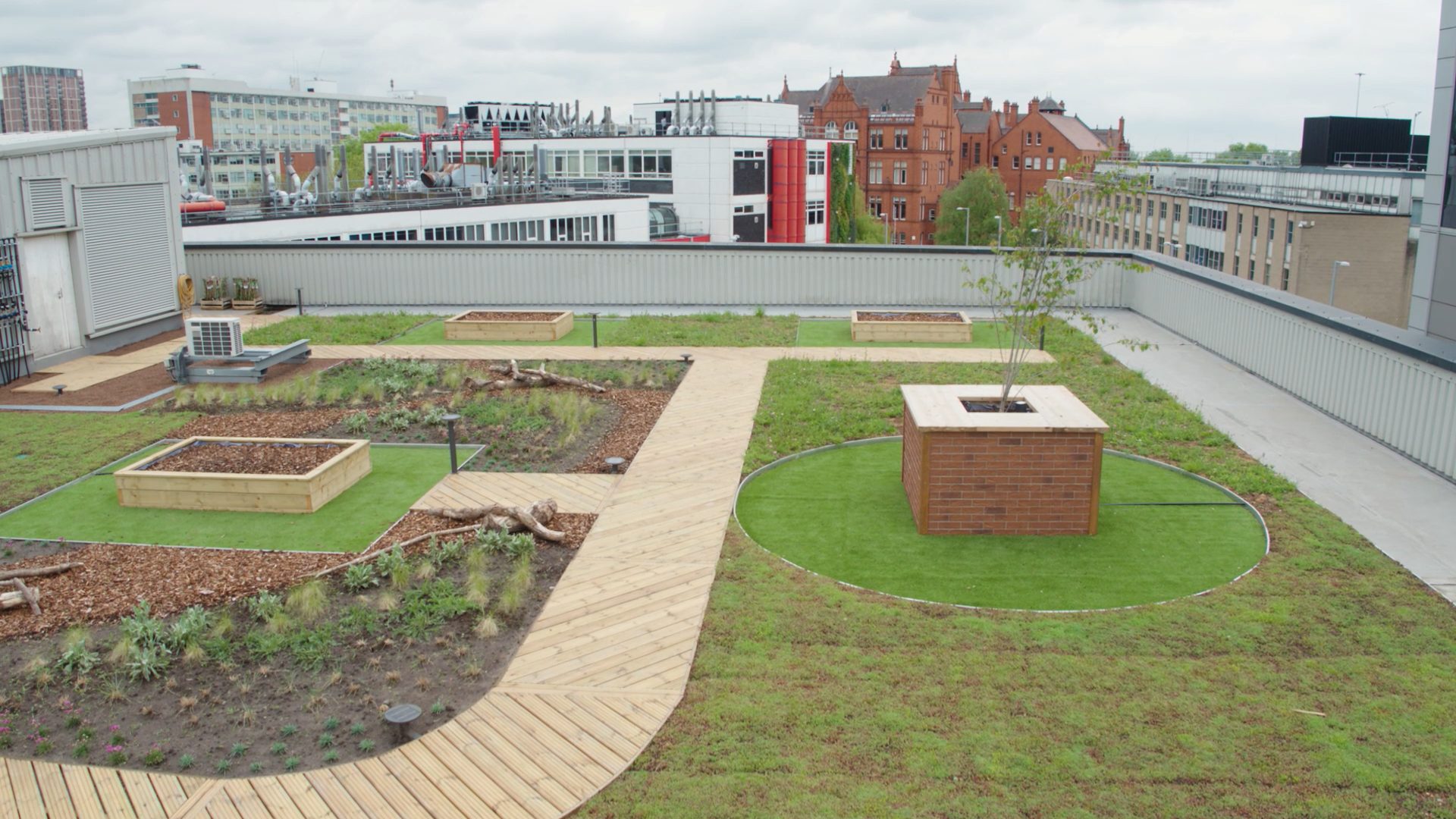 Green roof showing tree pits at Salford Living Lab