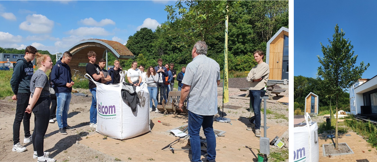 Planting the trees in Hanze University