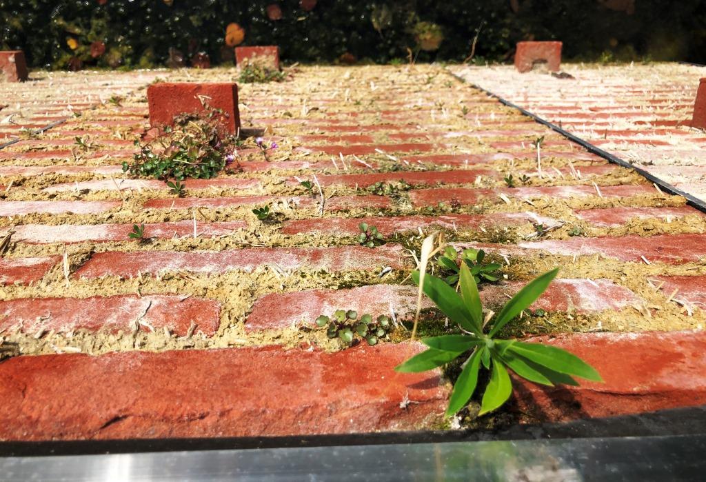 first nature on the test walls