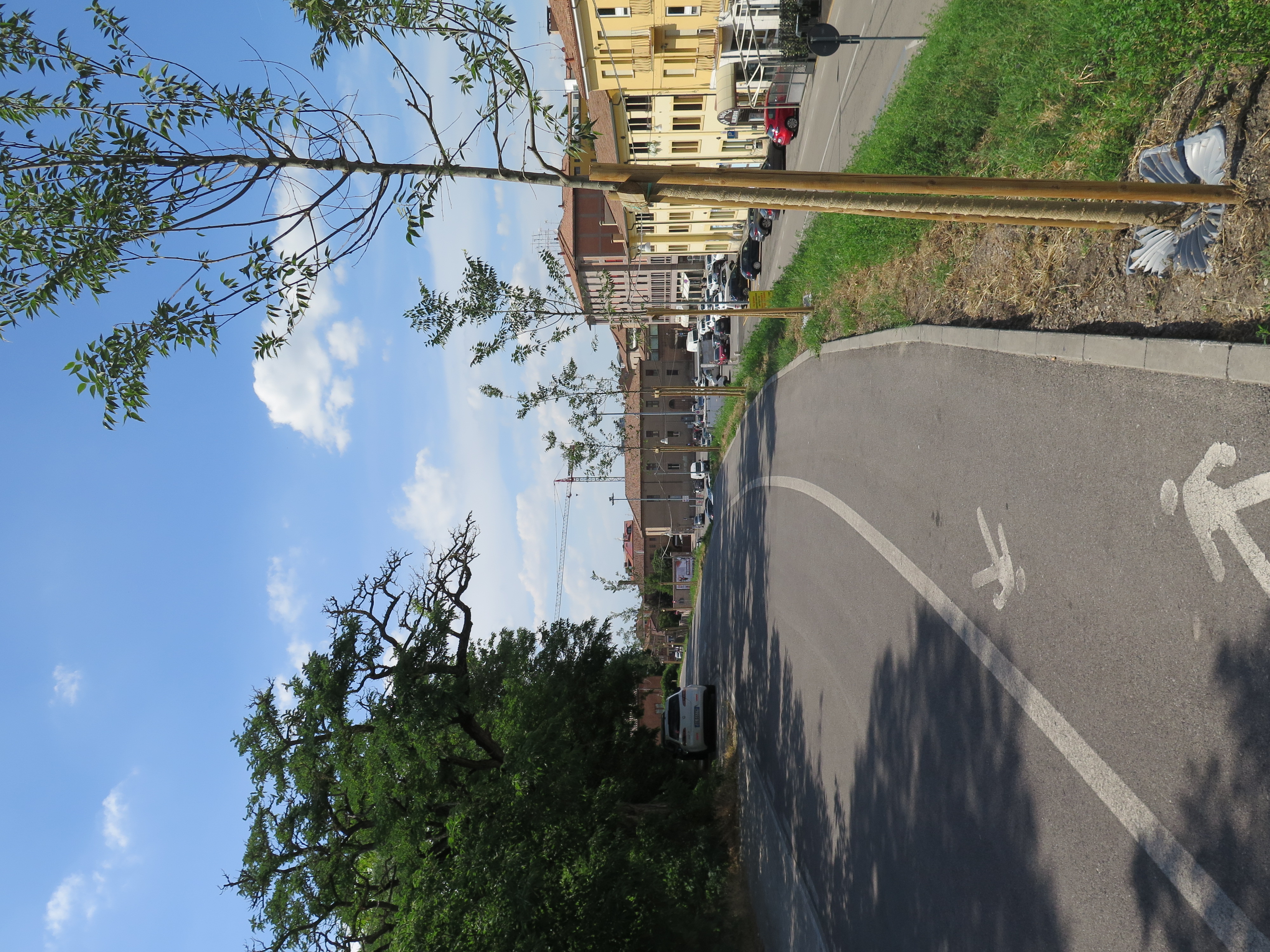 Figure 4 - City Walls Reforestation. Source: the Author