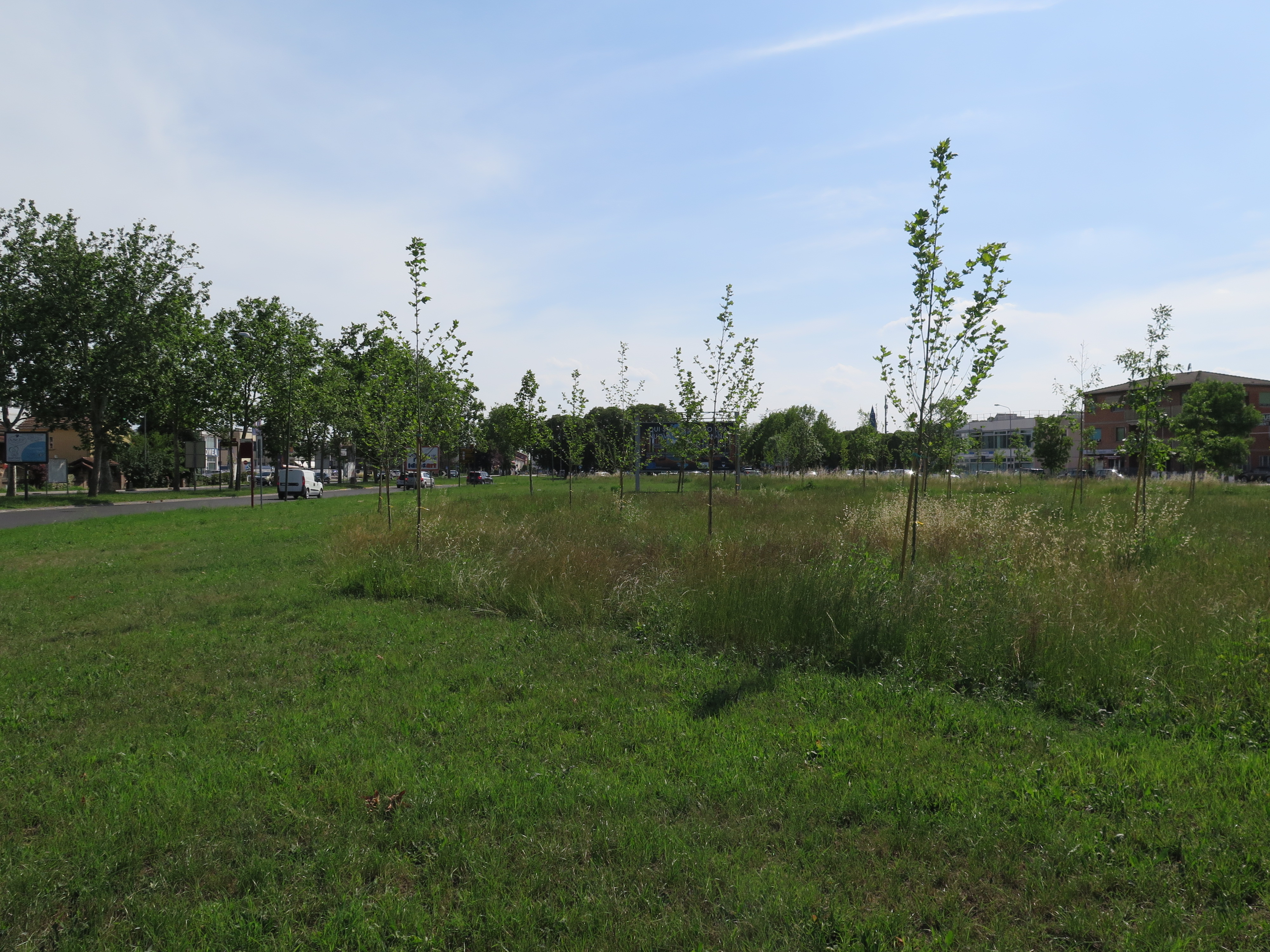 Figure 11 - Via Monteverdi Reforestation. Source: the Author