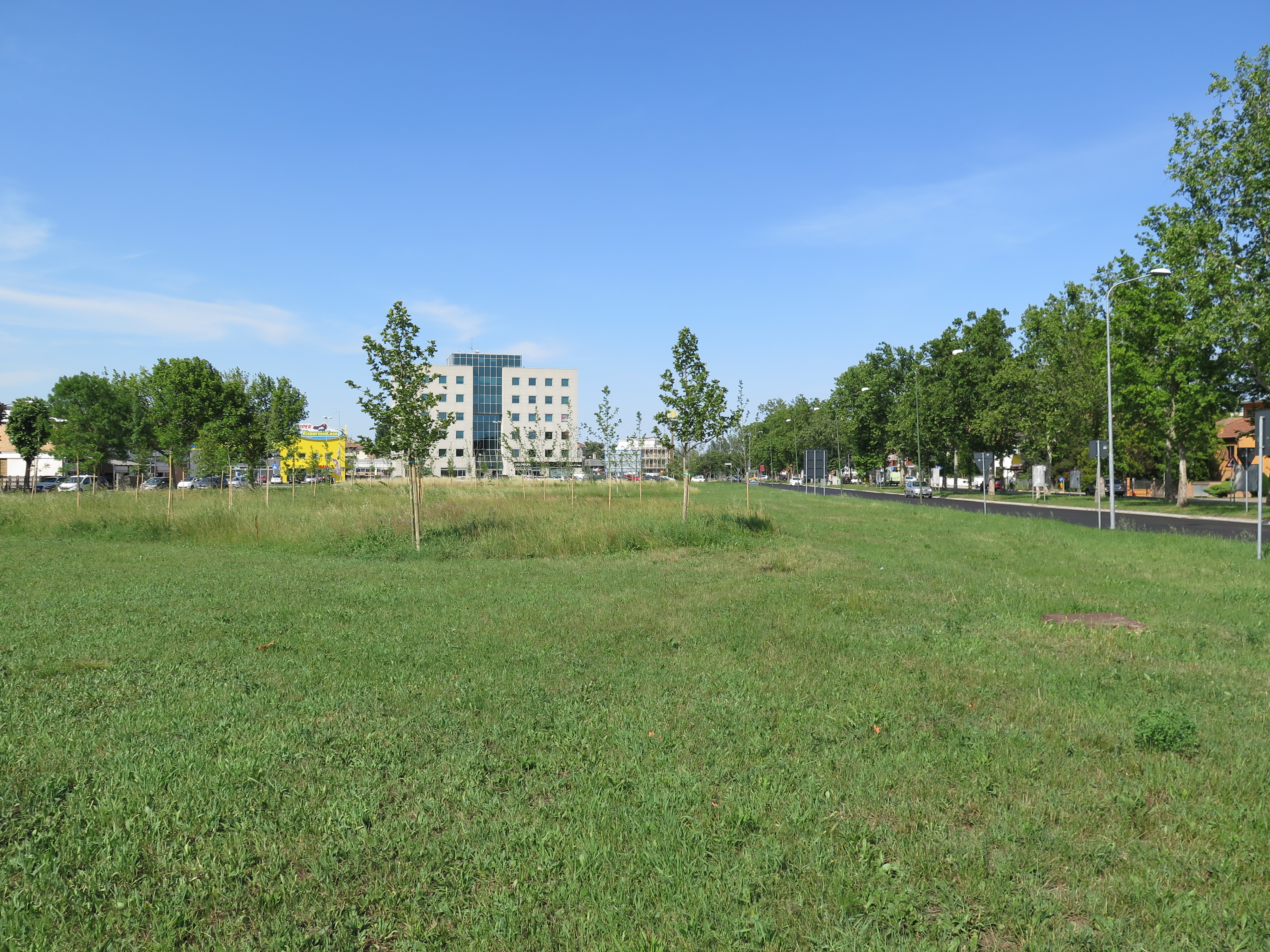 Figure 9 - Via Monteverdi Reforestation. Source: the Author