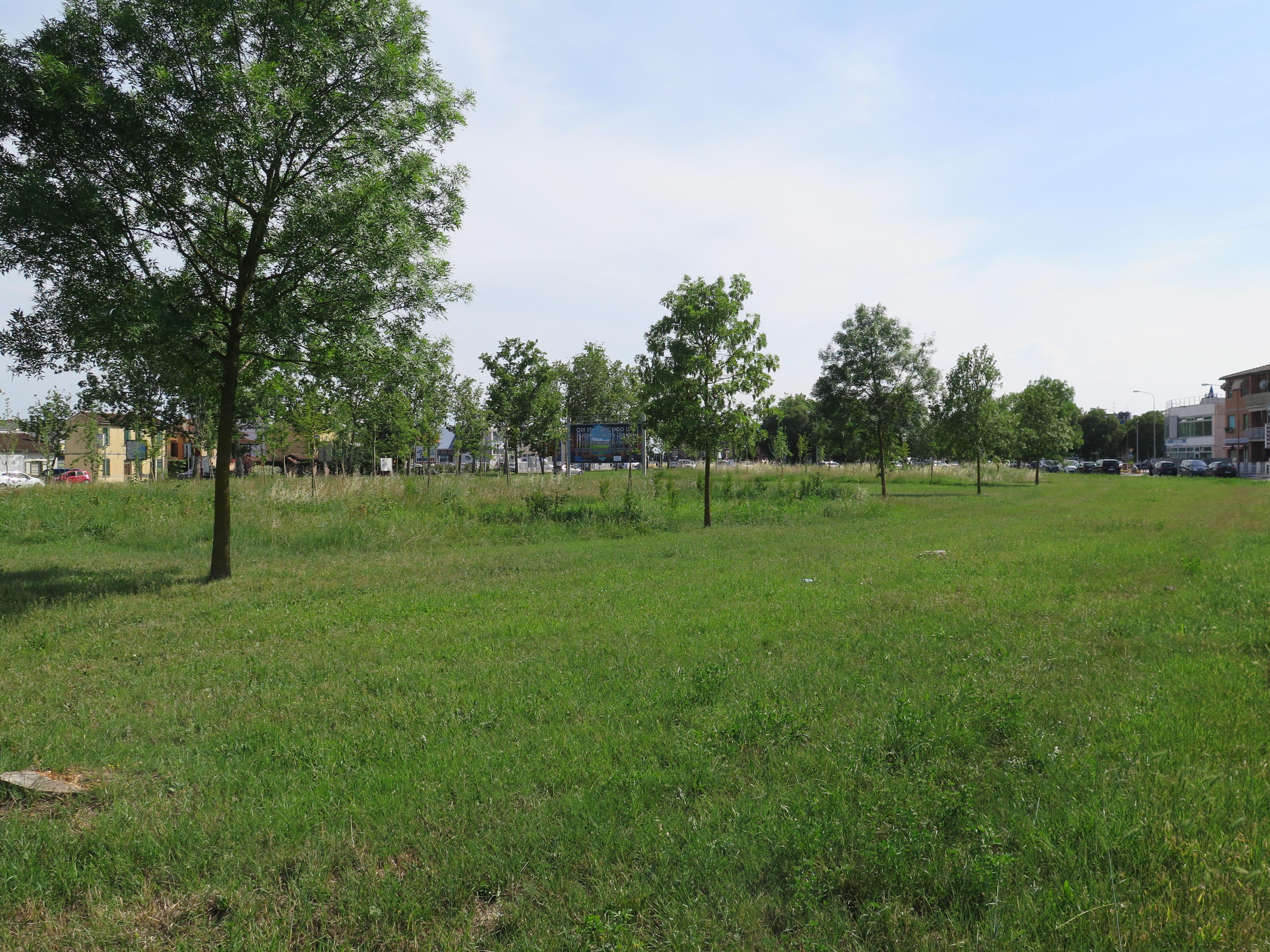 Figure 10 - Via Monteverdi Reforestation. Source: the Author