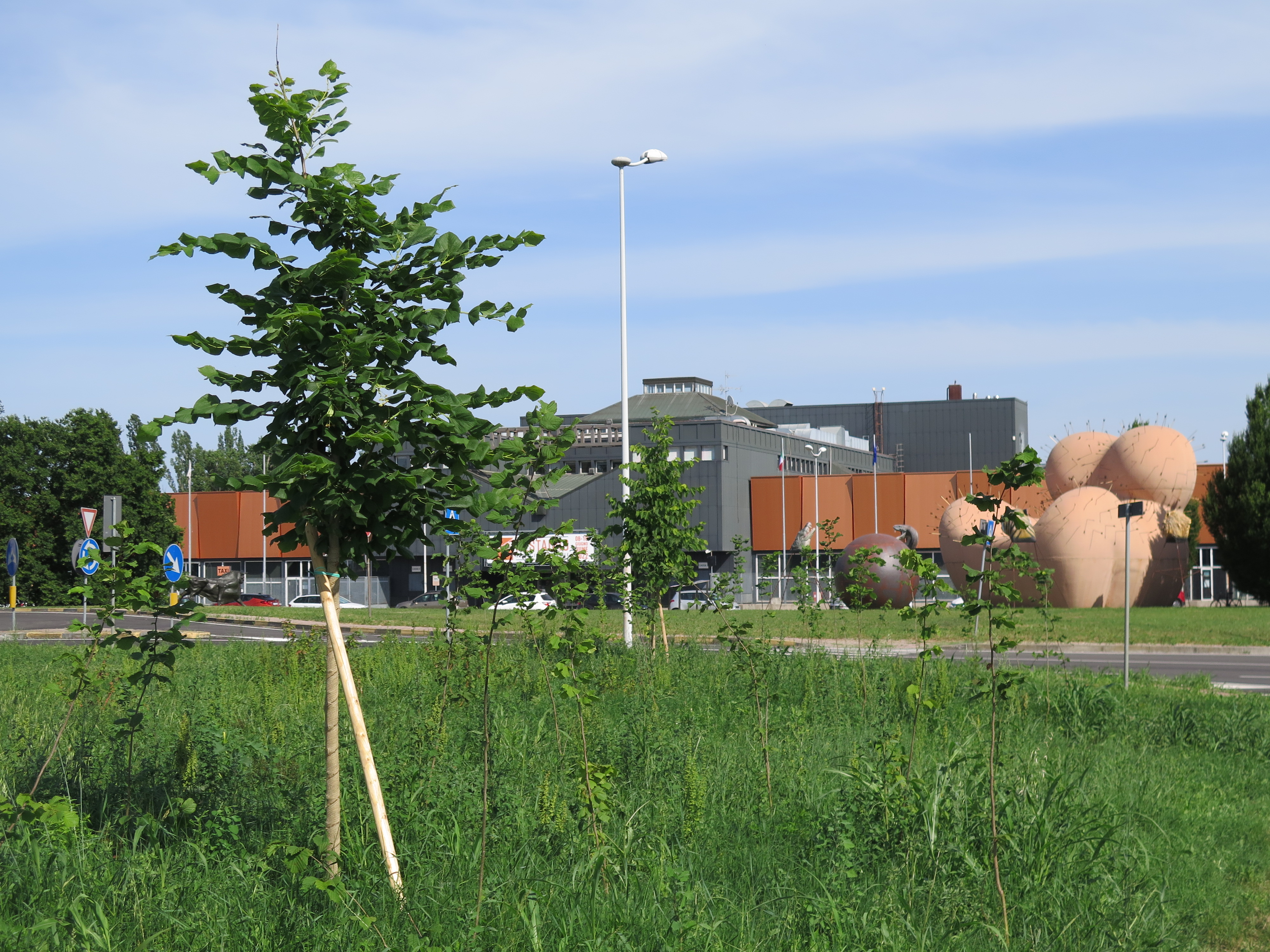 Figure 13 - Trade Fair Reforestation. Source: the Author