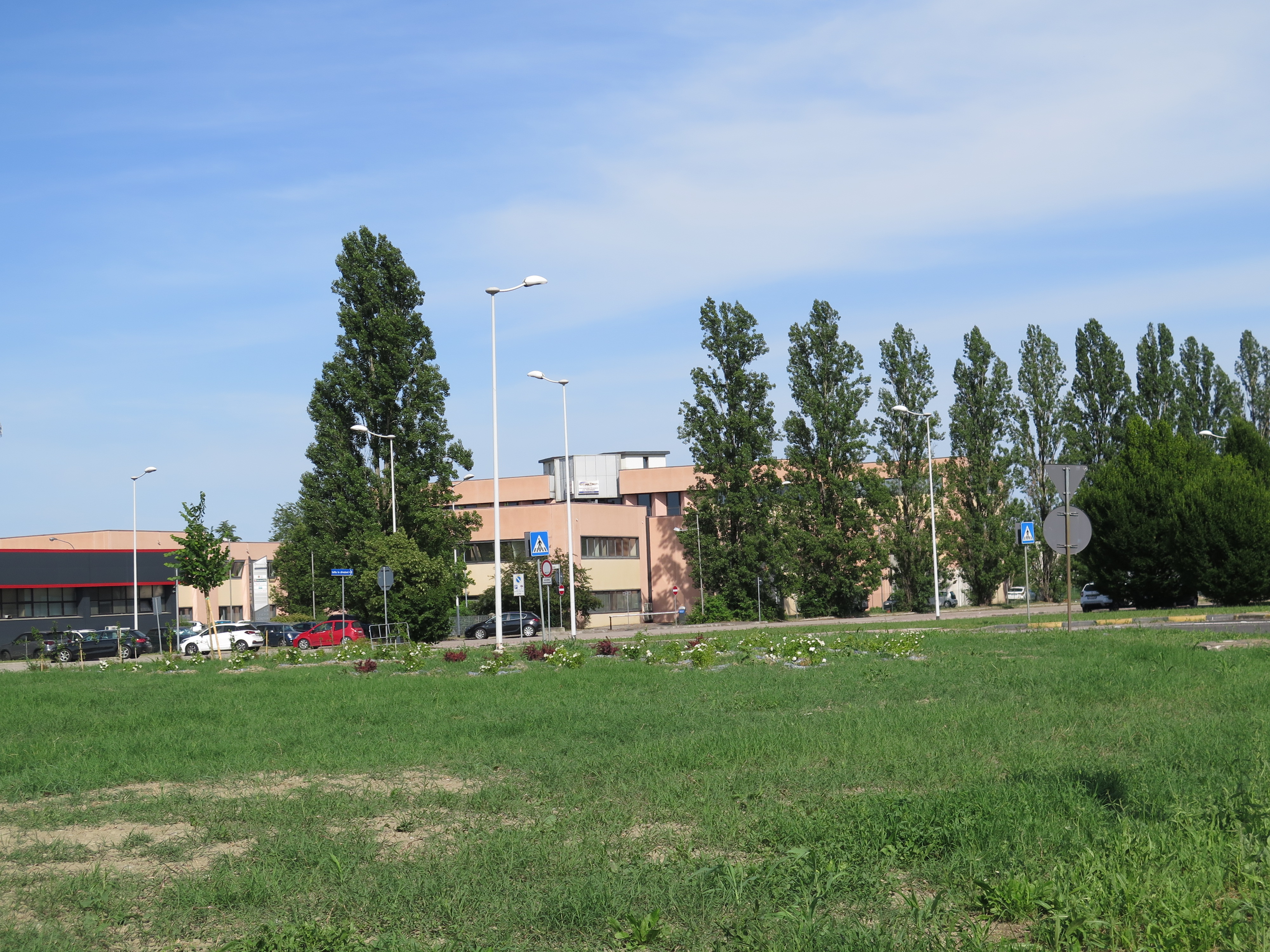 Figure 14 - Trade Fair Reforestation. Source: the Author