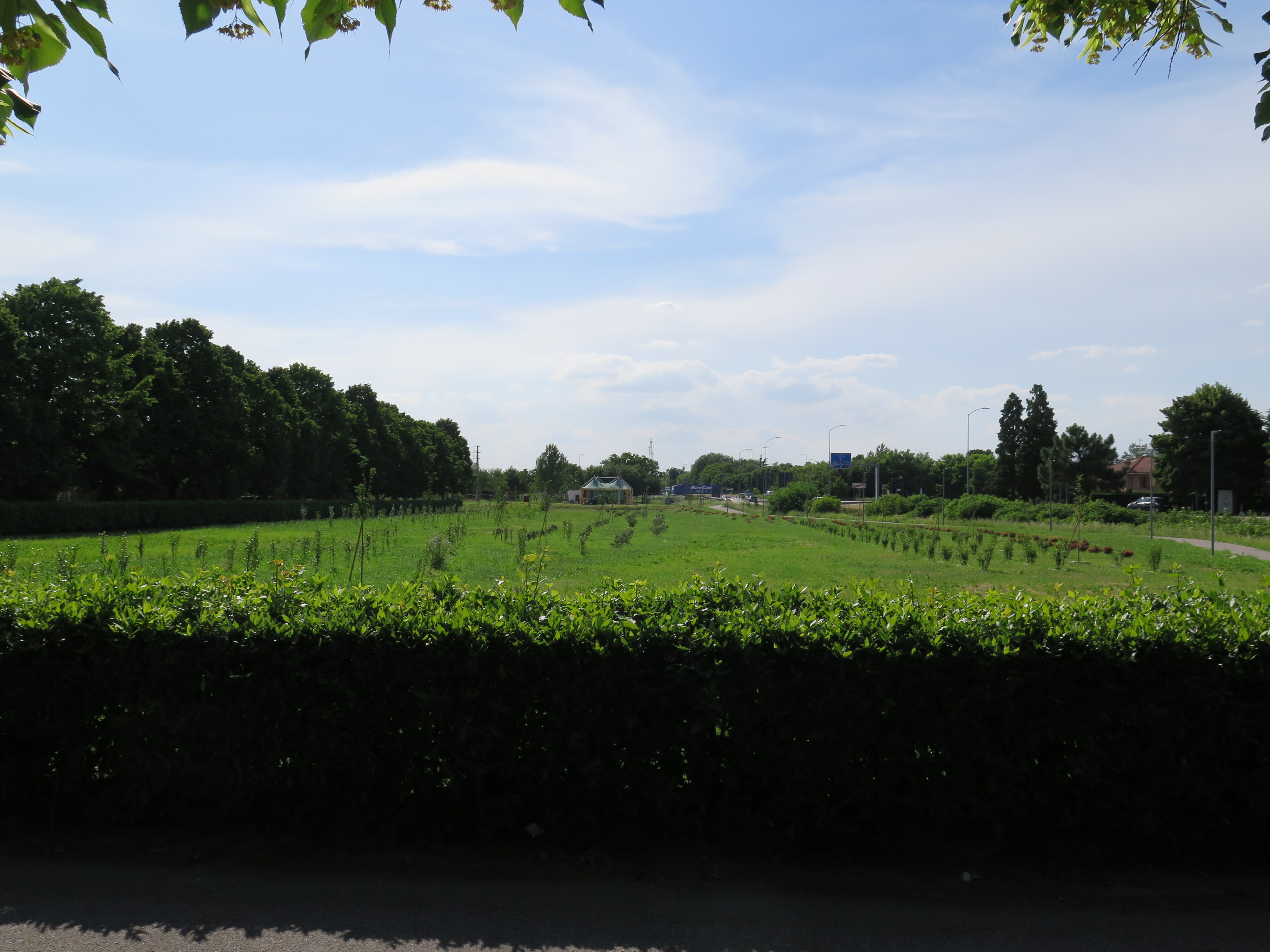 Figure 16 - Via Modena Reforestation. Source: the Author