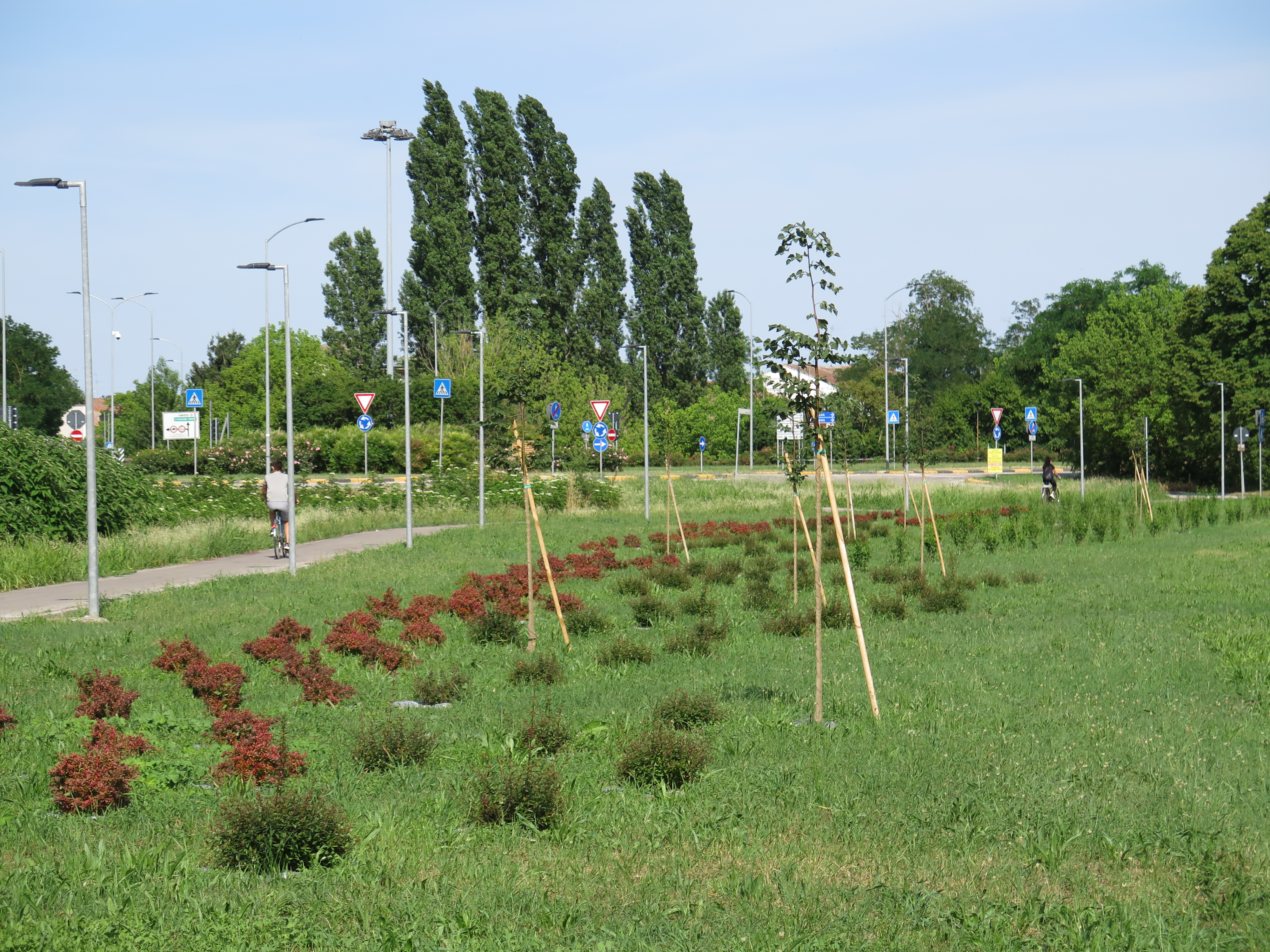 Figure 18 - Via Modena Reforestation. Source: the Author