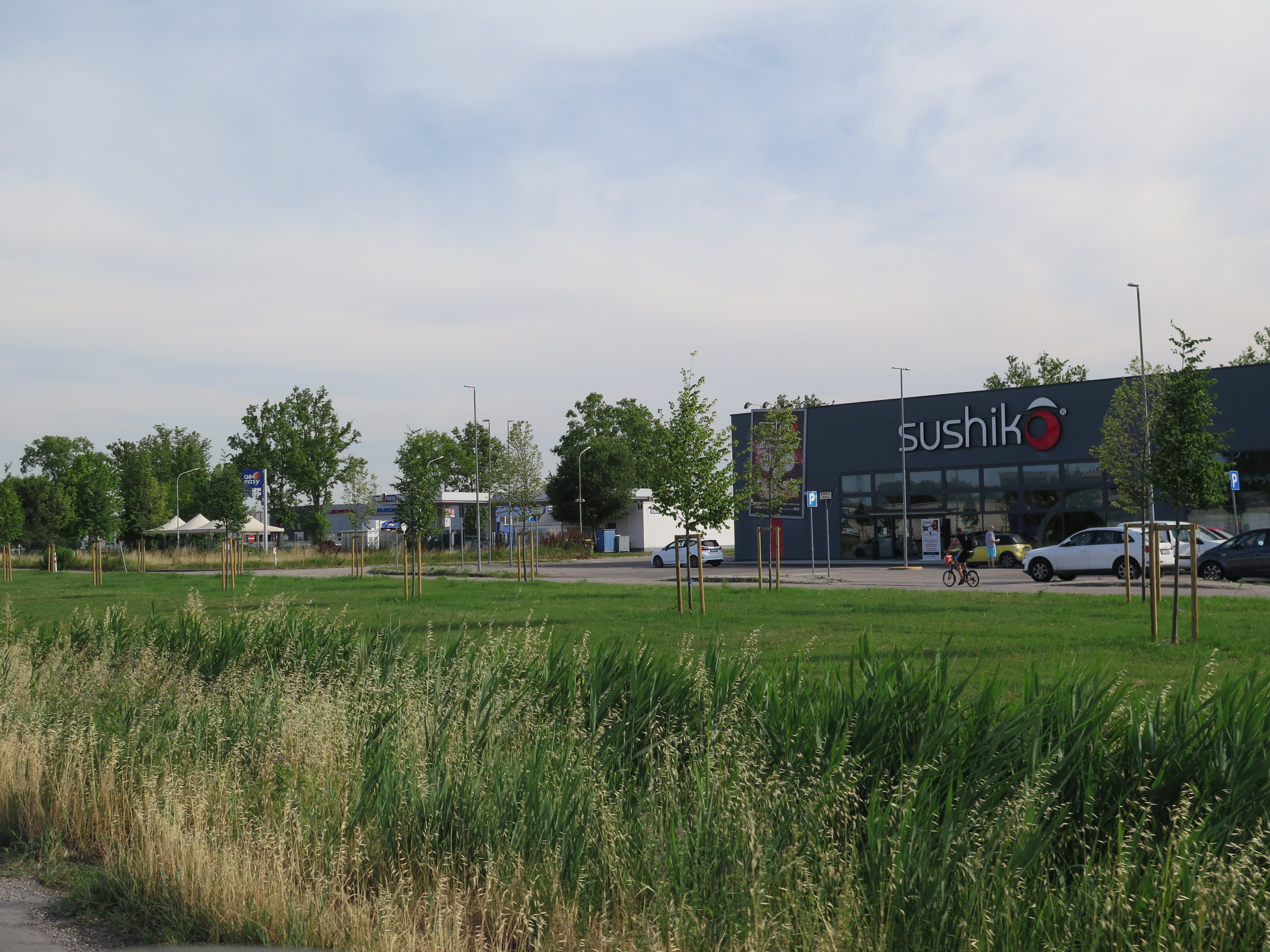 Figure 6 - Via Eridano Reforestation. Source: the Author