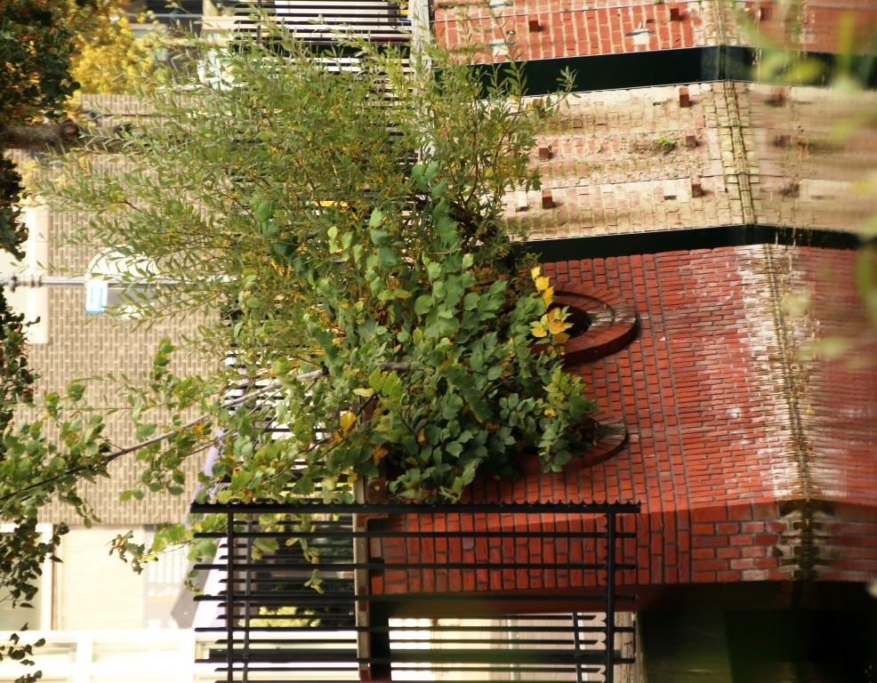 Small-scale test site with bended trees