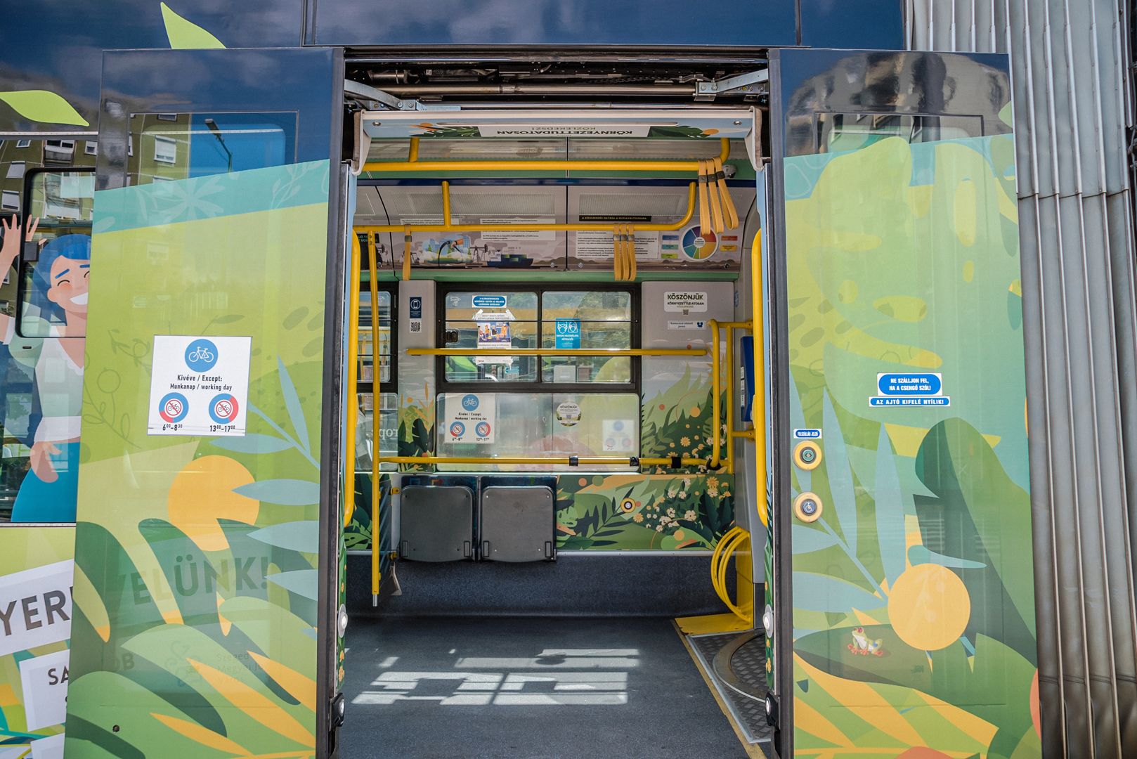 Thanks campaign szeged 1