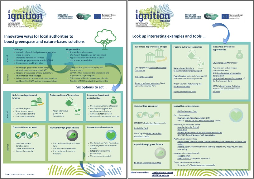 Infographic Innovative ways for local authorities to boost greenspace and nature-based solutions
