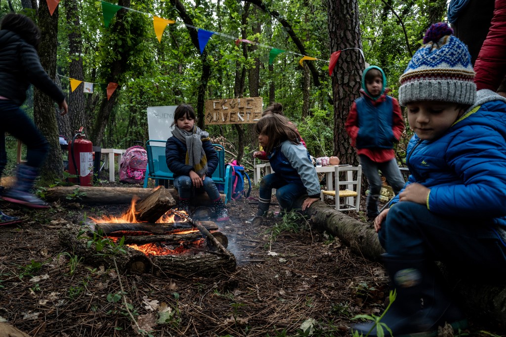 Drome Region, forest classroom