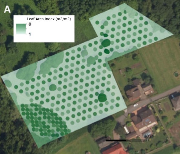 Leaf Area Index (m2/m-2) for the proposed vegetation in Radvanice